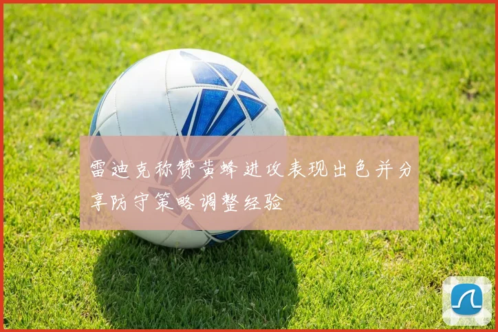 雷迪克称赞黄蜂进攻表现出色并分享防守策略调整经验